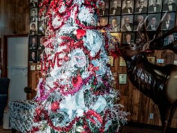 BB 14 VALENTINE TREE